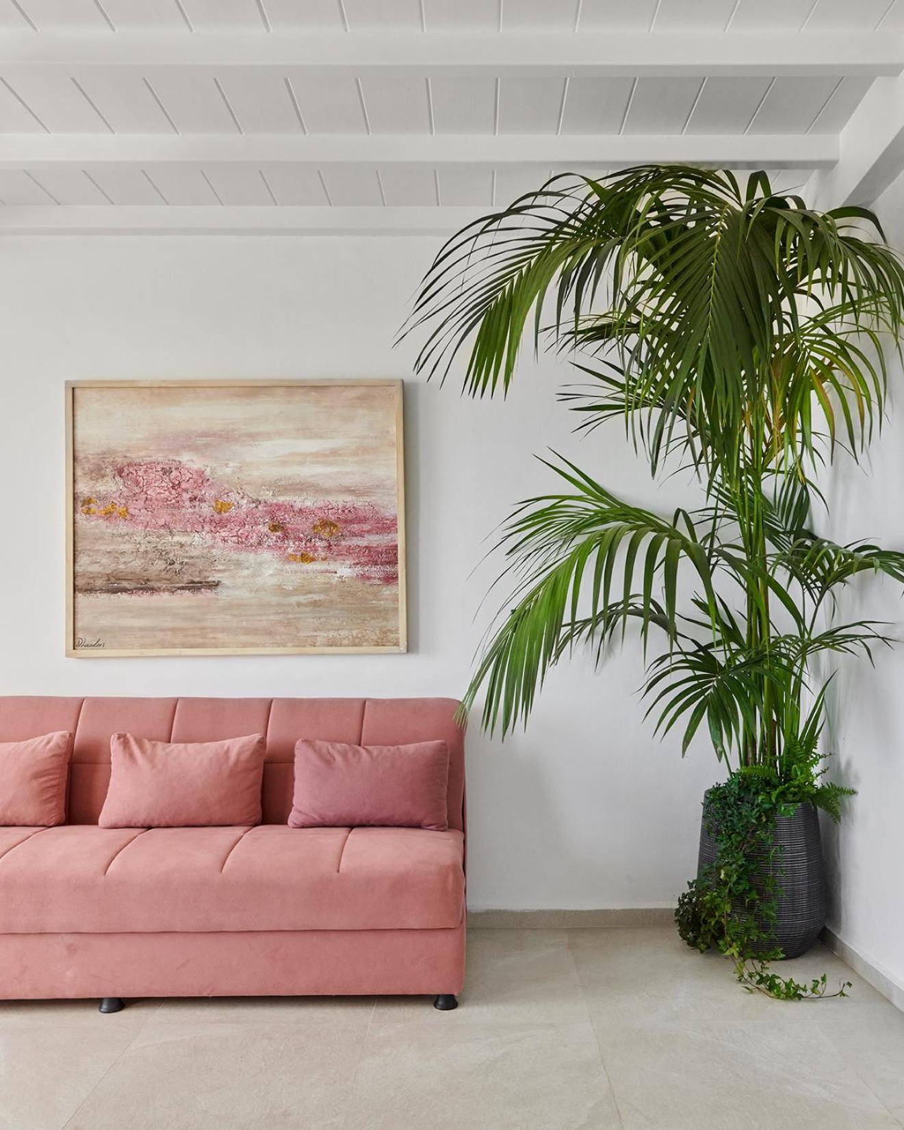 Kipos Villas & Suites Mykonos Town Dış mekan fotoğraf